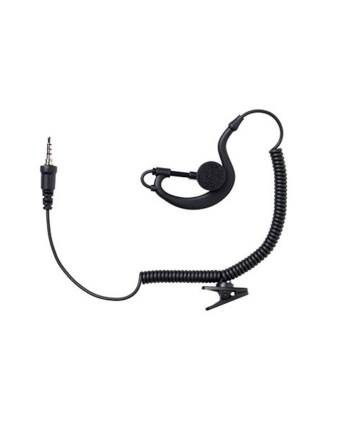 Lafayette öronmussla (6102)