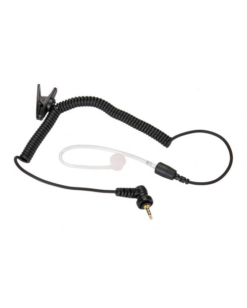 Lafayette öronmussla...