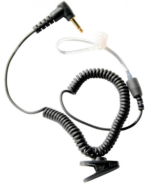 Lafayette öronmussla...