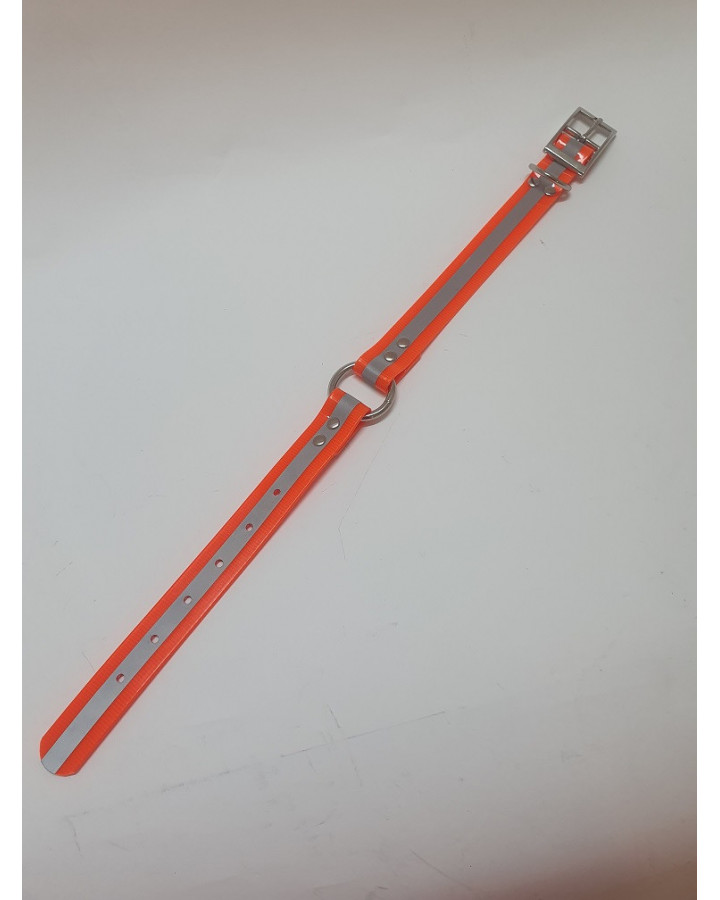 Barq spårhalsband 25*2,5*500 mm Orange