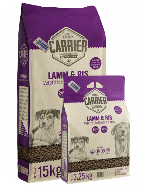 Carrier Lamm & Ris