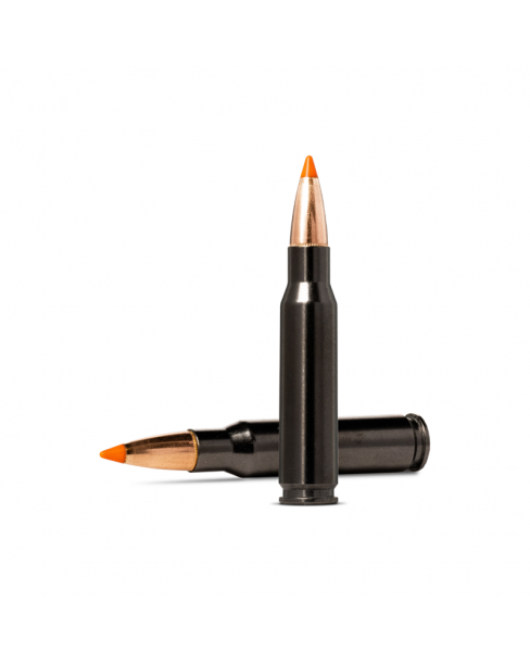 Norma Ammunition 308Win 11g...