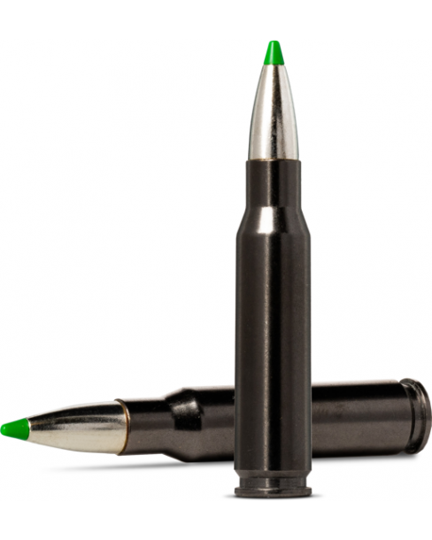 Norma Ammunition 30-06 9,7g... 2