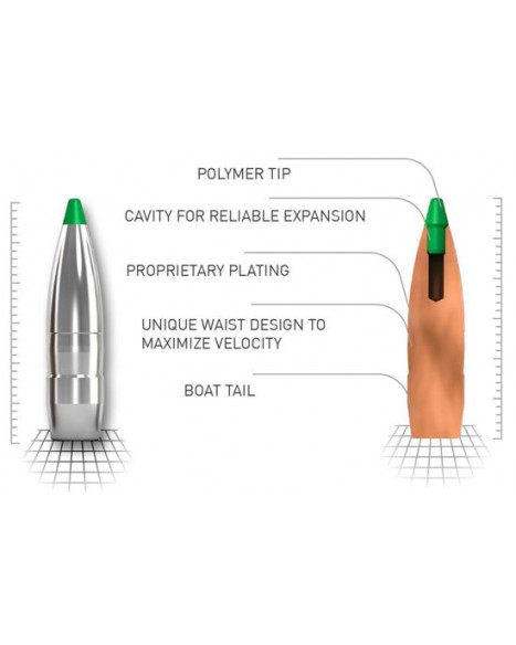 Norma Ammunition 308Win 10,7g Ecostrike