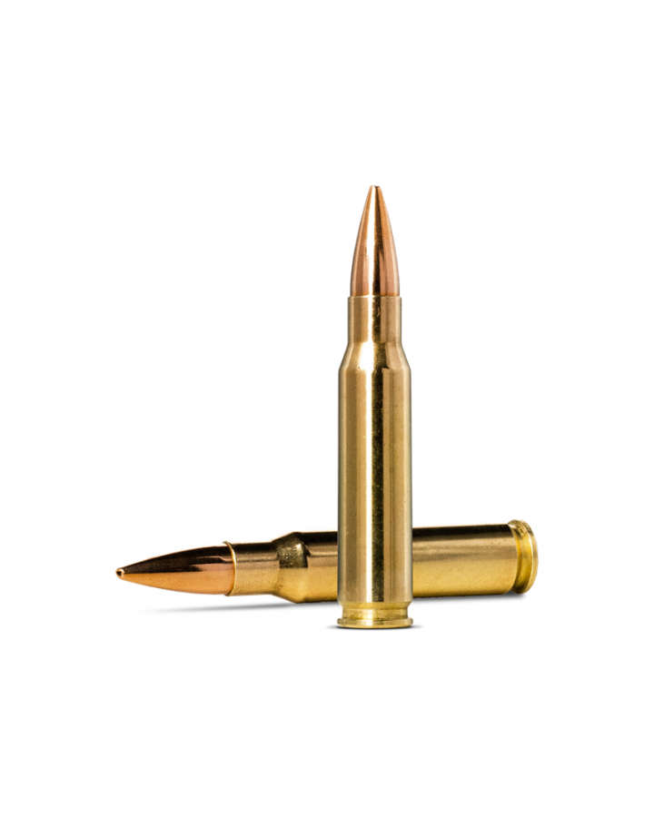 Norma Ammunition Golden Target 308Win 11,3g/175gr