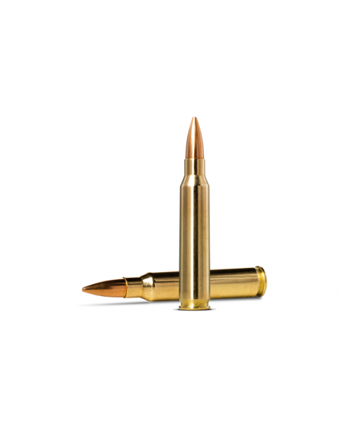 Norma Ammunition Golden...