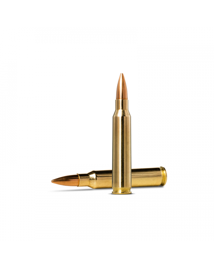 Norma Ammunition Golden Target 223Rem 4,5g/69gr