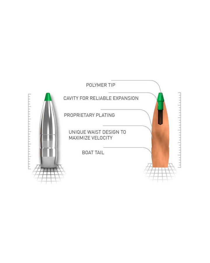 Norma Ammunition 9,3x62 16,2g Ecostrike