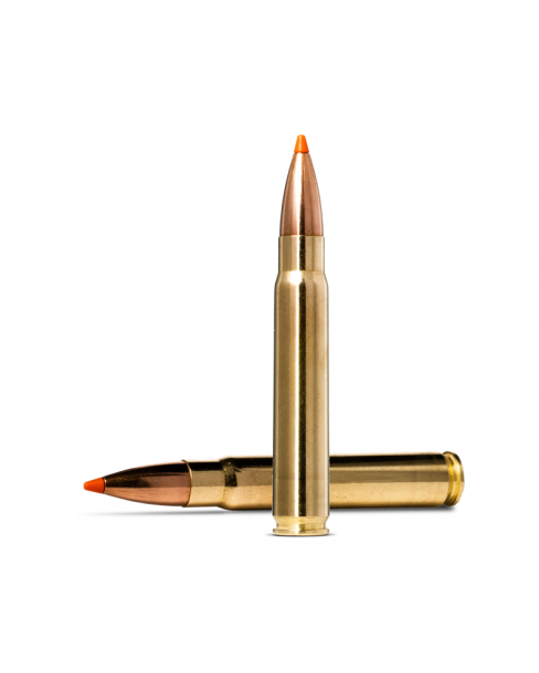 Norma Ammunition 9,3x62...