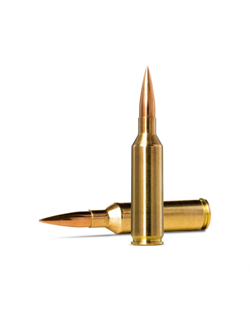 Norma Ammunition Golden...