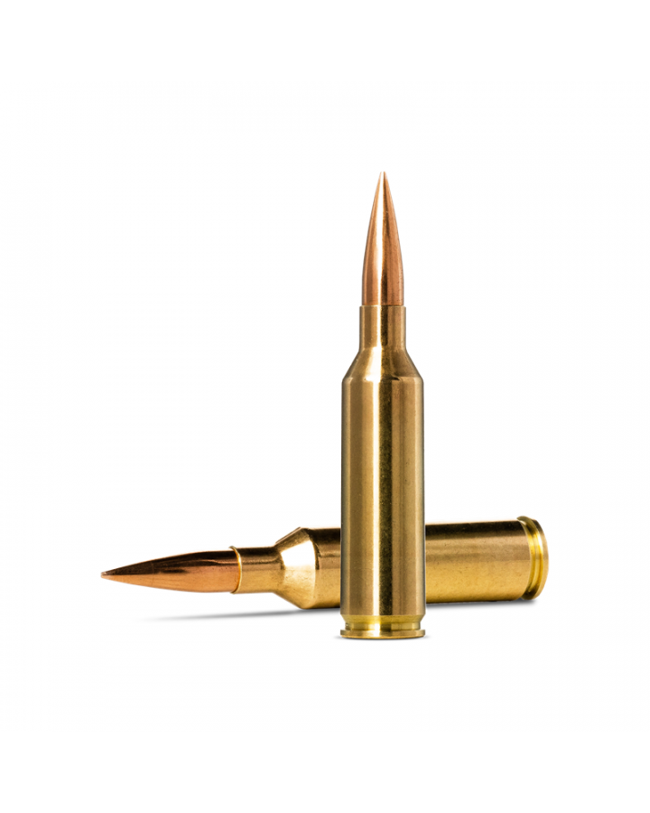 Norma Ammunition Golden Target 6,5 PRC 9.27g/143gr