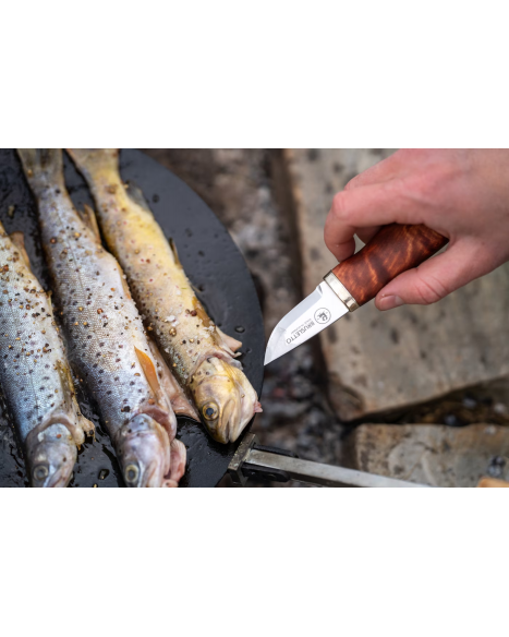 Kniv Brusletto Haugastol