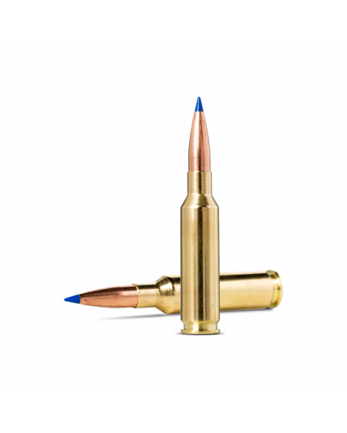 Norma Ammunition... 2