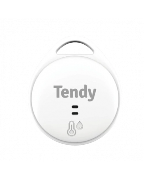 Tendy Nemus, Mörningstimer