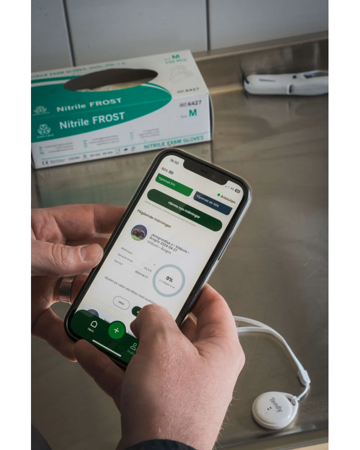 Tendy Nemus, Mörningstimer