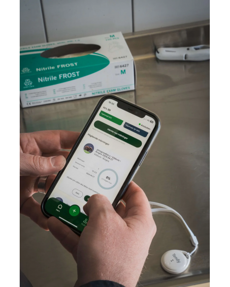 Tendy Nemus, Mörningstimer