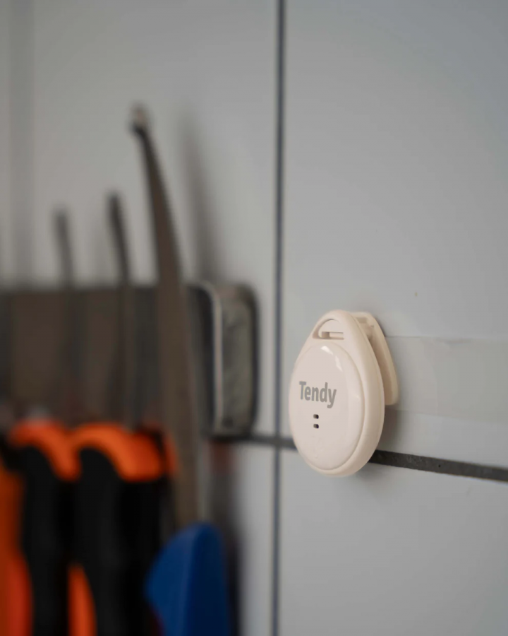 Tendy Nemus, Mörningstimer