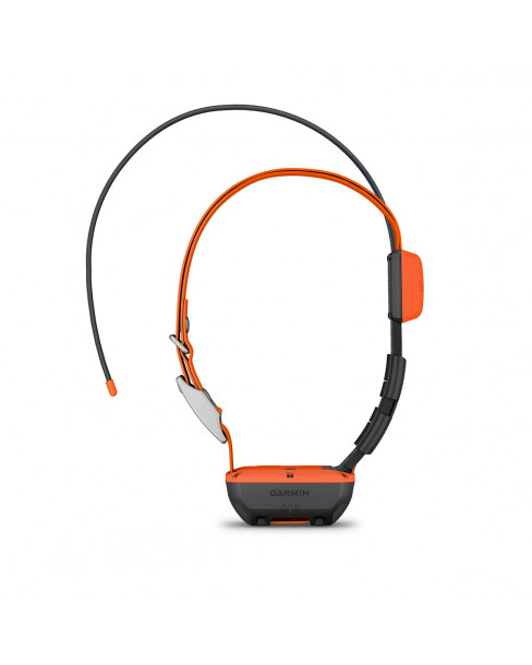 Garmin Alpha T20
