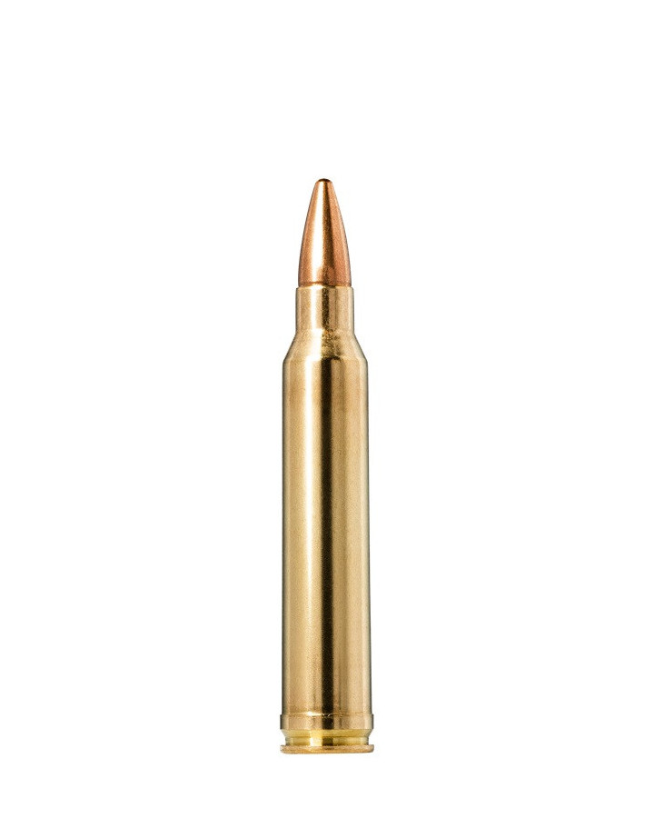 Norma Ammunition JaktMatch 300WM 9,7g...