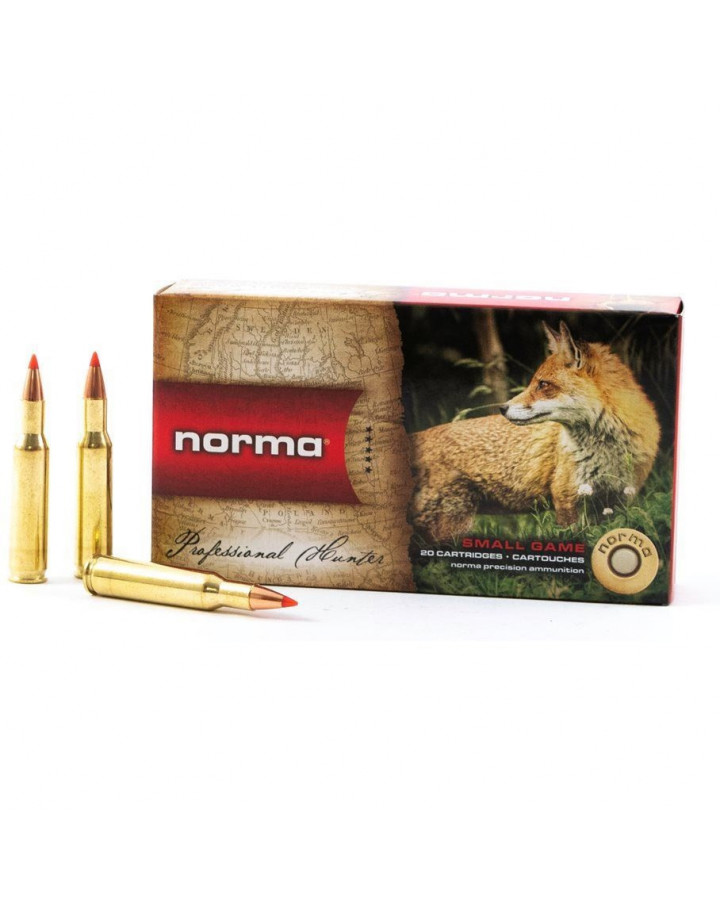 Norma Ammunition .243Win 6,5g Oryx