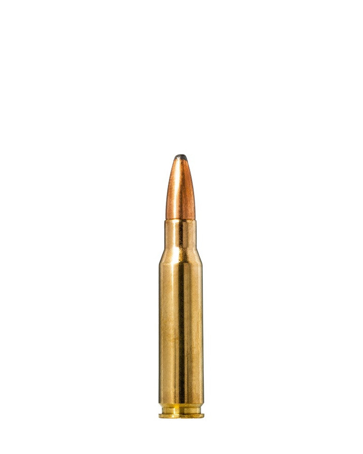 Norma Ammunition 308Win 10,7g Oryx