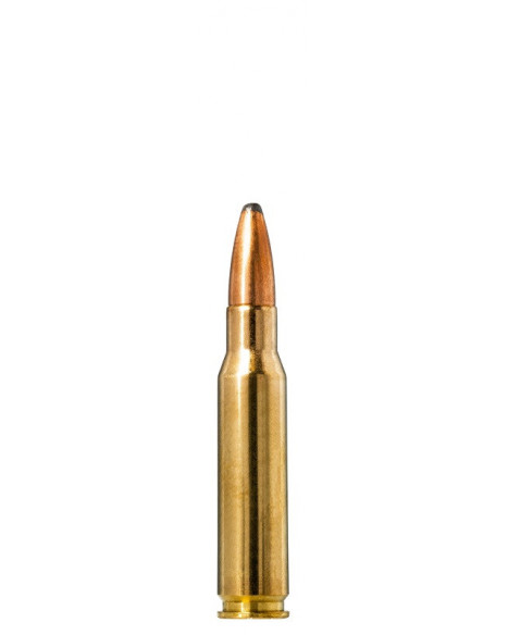Norma Ammunition 308Win 10,7g Oryx