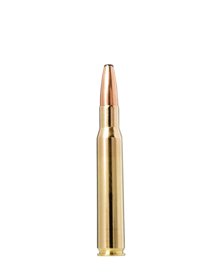 Norma Ammunition 30-06 13g Oryx